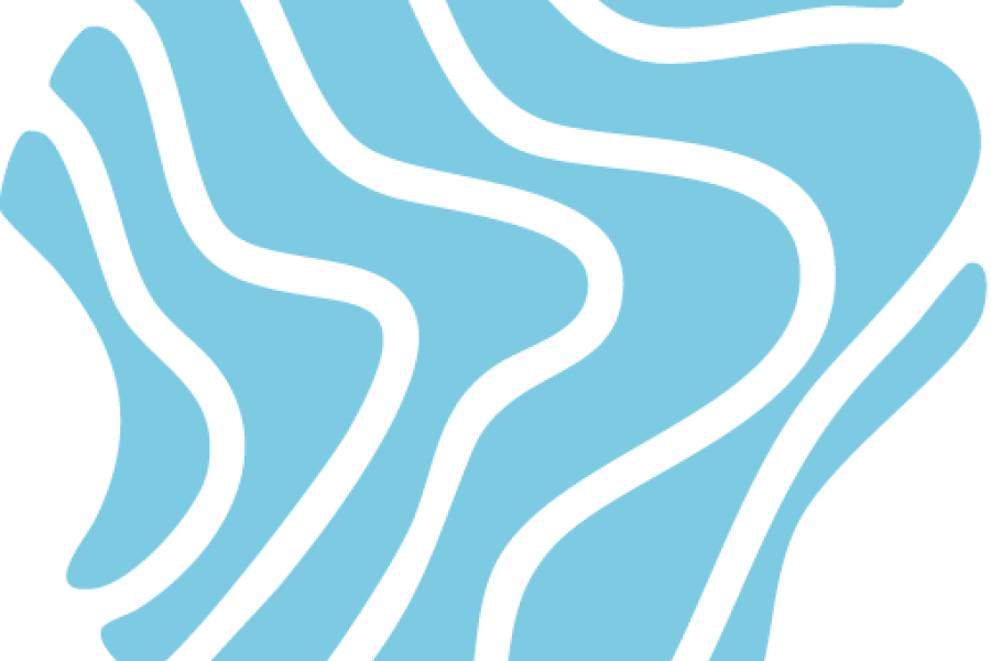 Prodimus Logo Mark Himmelblau